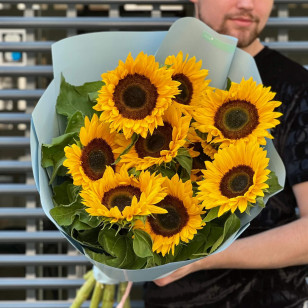 9 sunflowers in a bouquet «Sunshine»