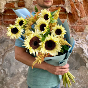 Fantastic sunflowers of a White Night variety in a bouquet «White Night»