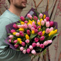 65 тюльпанов в букете «Тюльпановая роскошь»