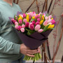 65 тюльпанов в букете «Тюльпановая роскошь»