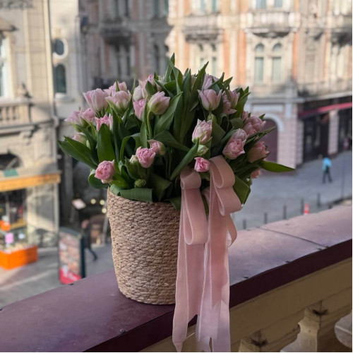 Розкішний кошик із 51 преміального тюльпану Dreamer «Весняна мрія»