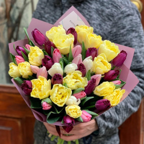 Mix of tulips «Lemon and Blueberry»