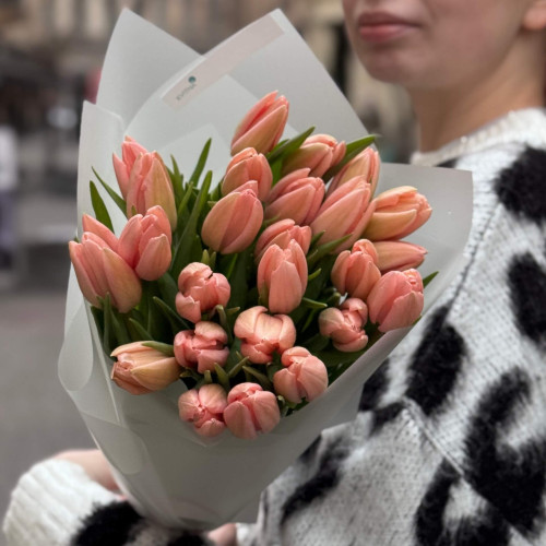 25 exclusive Thijs Boots salmon tulips «Apricot Tenderness»