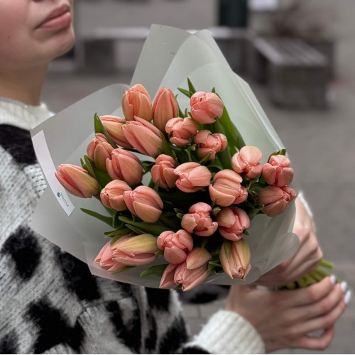 25 exclusive Thijs Boots salmon tulips «Apricot Tenderness»