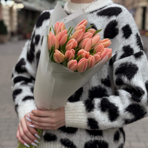 25 exclusive Thijs Boots salmon tulips «Apricot Tenderness»
