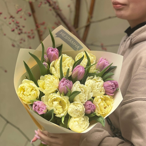 Букет із 17 піоновидних тюльпанів «Вершкова слива»