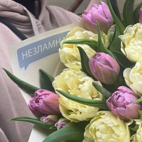 Букет із 17 піоновидних тюльпанів «Вершкова слива»