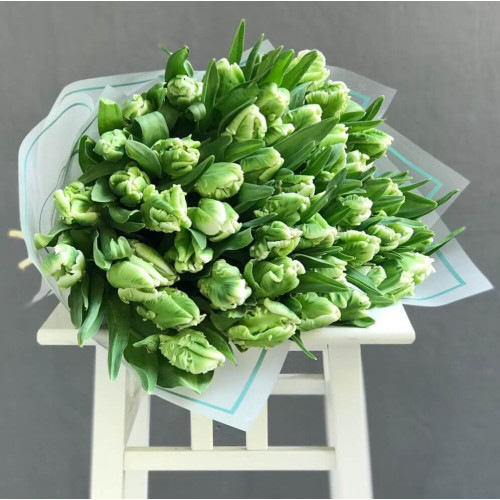 49 зелених тюльпанів White Parrot