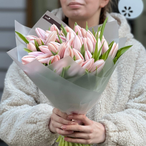 47 преміальних тюльпанів Thijs Boots у букеті «Весняні цукерочки»