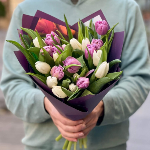 19 тюльпанів у букеті «Морозна весна»