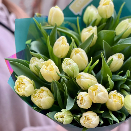 25 піоновидних тюльпанів у букеті «Лаймова насолода»