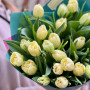 25 піоновидних тюльпанів у букеті «Лаймова насолода»