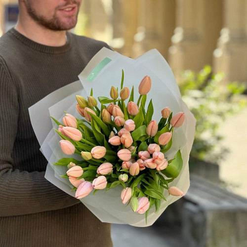 49 преміальних тюльпанів Thijs Boots