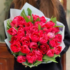 35 червоних піоновидних тюльпанів