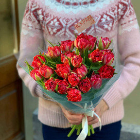 Букет із 23 тюльпанів «Палай»