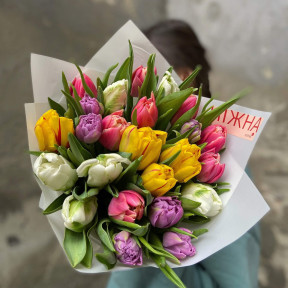 Кольоровий мікс з 25 тюльпанів