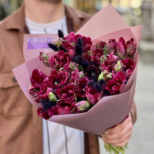 41 преміальний тюльпан з лагурусом у букеті «Чорна перлина»