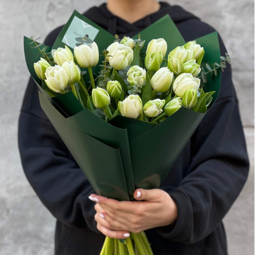 25 біло-зелених півонієвидних тюльпанів у букеті «Весняний смарагд»