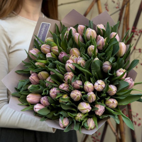 49 піоновидних тюльпанів Katinka у букеті «Лавандова весна»