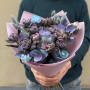 Mystical bouquet with premium tulips Vip Roses «Purple Enigma»