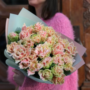 25 мереживних тюльпанів «Queensland»