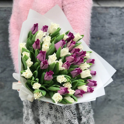 Мікс з 39 тюльпанів-поцілунків «Чорниці з вершками»
