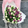 Мікс з 39 тюльпанів-поцілунків «Чорниці з вершками»