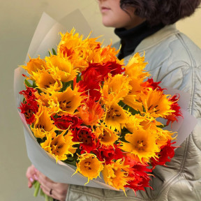 31 преміальний французький тюльпан «Лео»