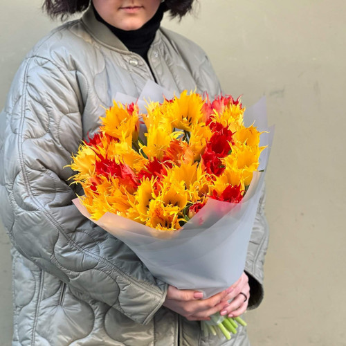 31 преміальний французький тюльпан «Лео»