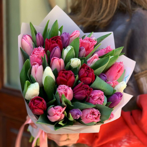 Mix of tulips «Colors»