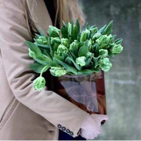 Тюльпани White Parrot (Уайт Перрот)