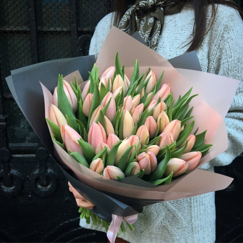 Преміум тюльпани Тіз Бутс