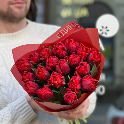 19 червоних півонієвидних тюльпанів у букеті «Пристрасне вітання»