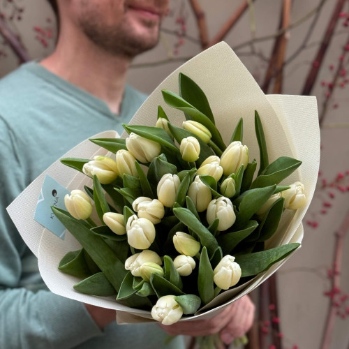 Білосніжний букет з 25 тюльпанів «Білі краплинки»