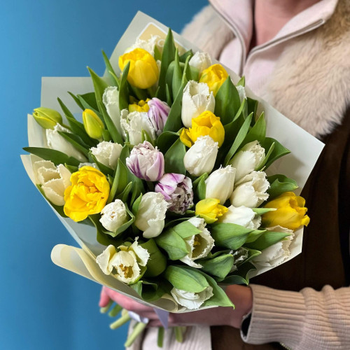 35 ніжно-пастельних тюльпанчиків