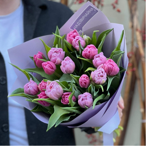 Мікс із 17 півонієвидних тюльпанів «Рожево-бузковий»