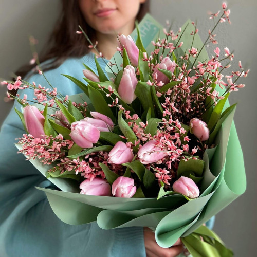 Тюльпан-Геніста «Тюльпановий вибух»