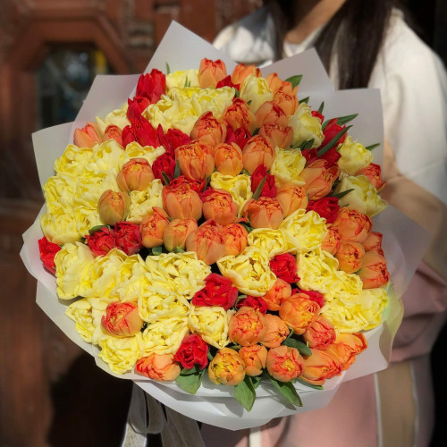 101 піоновидний тюльпан «Вогняне сонце»