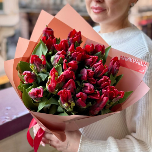 Букет із 25 тюльпанів Parrot «Червоні папужки»