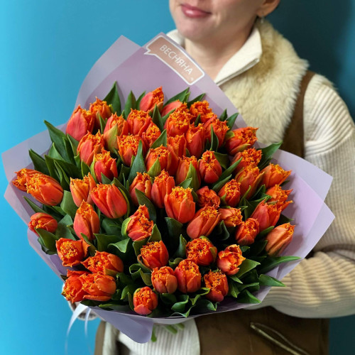 51 бахромчастий тюльпан «Вогник весни»