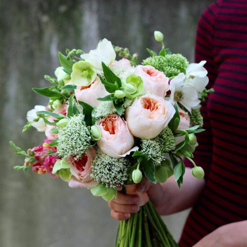 Трояндова ніжність