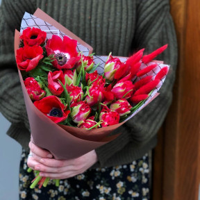 Тюльпан-Анемон-Лагурус «Флирт»