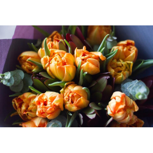 Букет з піоновидних тюльпанів