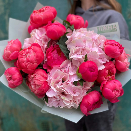 Піон-Гортензія «Кораловий зефір»