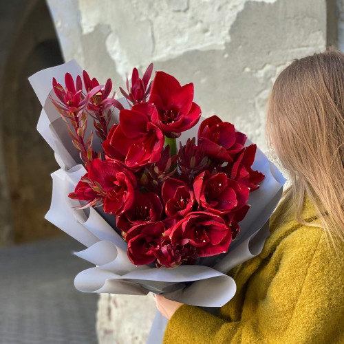 Букет из Амарилиса и Леукадендрона «Красная звезда»