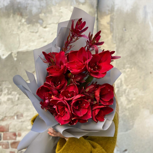 Букет из Амарилиса и Леукадендрона «Красная звезда»