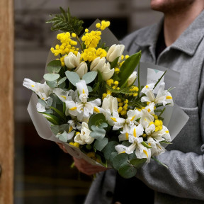 Ніжний букет з ірисами та мімозою «Весняний ранок»