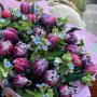 Bouquet «Flowers are picturesque»