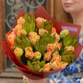 Цікавий букет із тюльпанів сорту Brisbane «Обійми Жар-птиці»