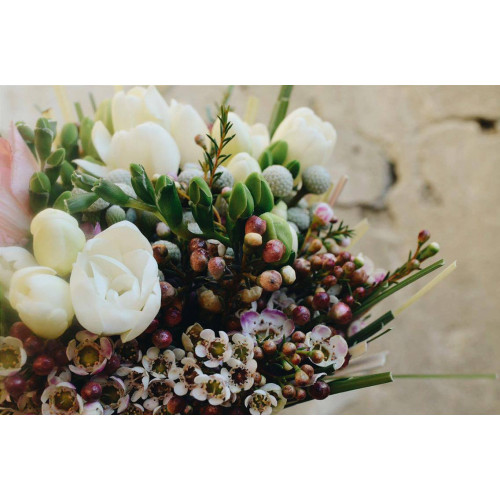 Букет комплімент з хамелаціумом